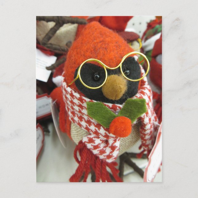 Cardinal Wearing Glasses Postcard (Front)