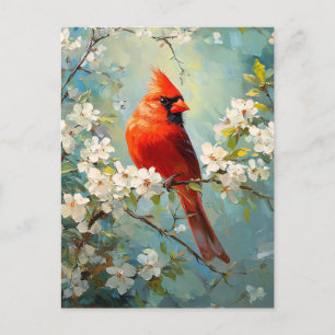 Cardinal White Blossoming Flowers Art Postcard