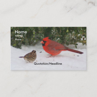 Cardinal with Sparrow Business Card