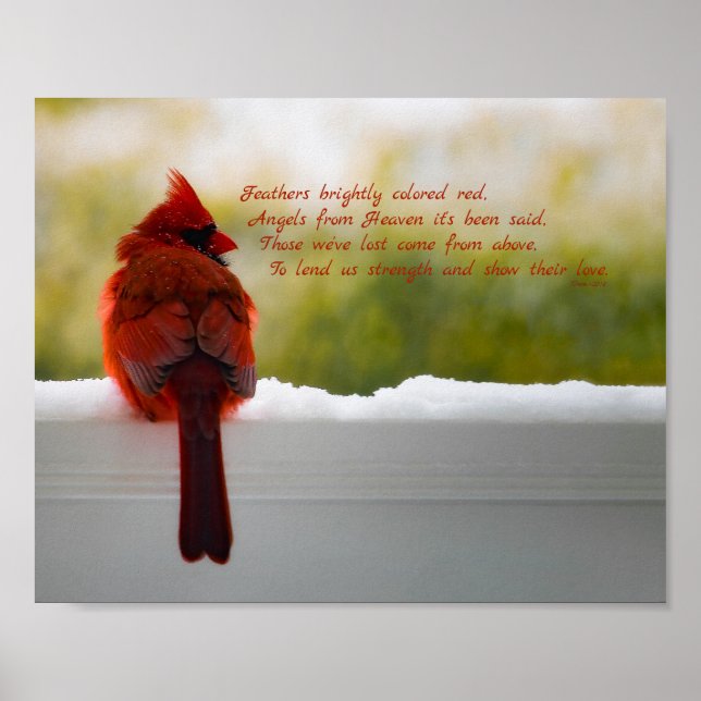 Cardinal with Visitor From Heaven poem 10x8 Poster (Front)