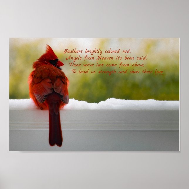 Cardinal with Visitor From Heaven poem 12x8 Poster (Front)