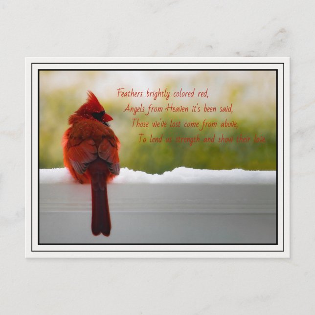 Cardinal with Visitor From Heaven poem Postcard (Front)