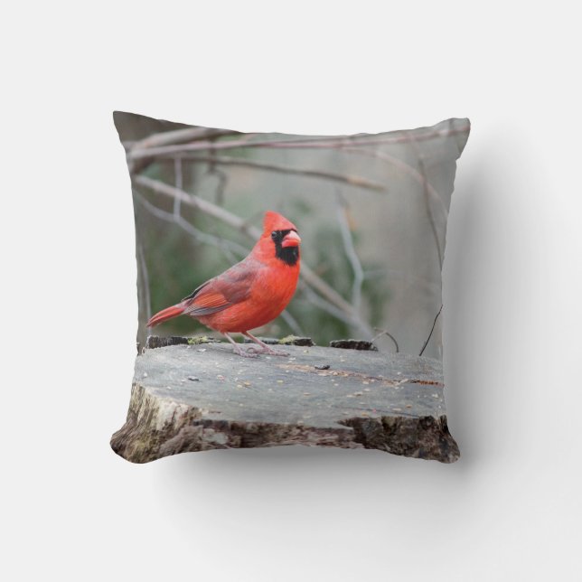 Cardinal Woodland Cushion (Front)