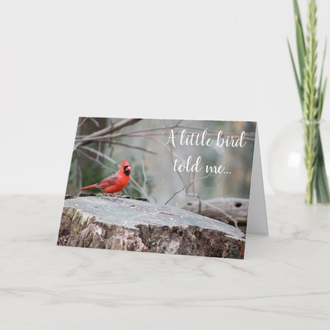 Cardinal Woodland  Greeting Card (Front)