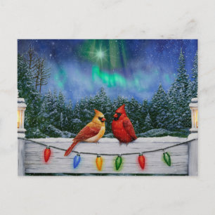 Cardinals and Christmas Lights Winter Snow Postcard