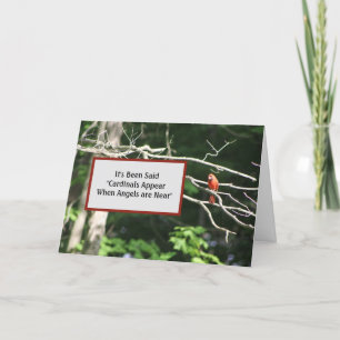 Cardinals Are Near Angels Appear Card