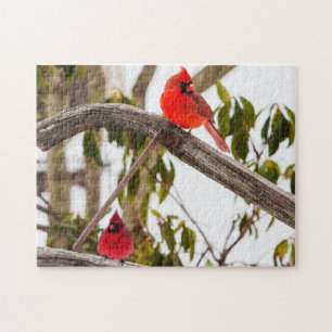 Cardinals Bring Color to Winter Jigsaw Puzzle