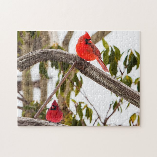 Cardinals Bring Colour to Winter Jigsaw Puzzle (Horizontal)