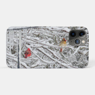 Cardinals Case-Mate iPhone Case