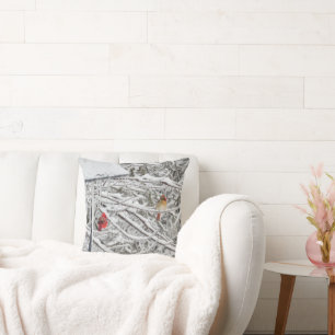 Cardinals Cushion