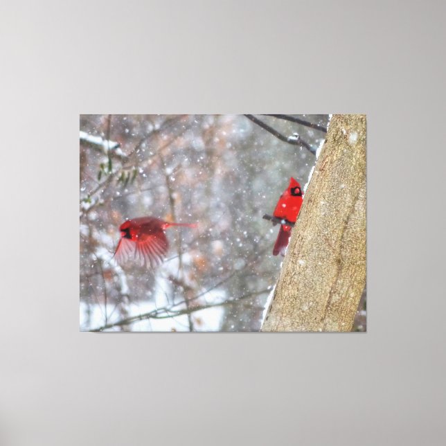 Cardinals in the Snow Canvas Print (Front)