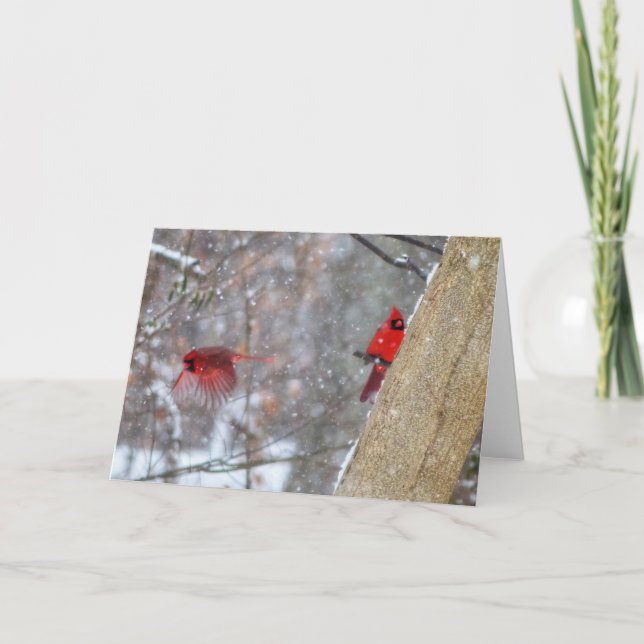 Cardinals in the Snow Card (Front)