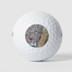 Cardinals in the Snow Golf Balls