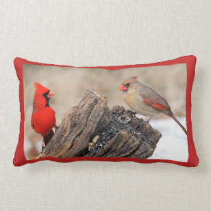 Cardinals Lumbar Cushion