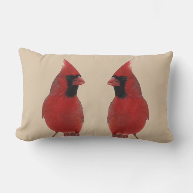 Cardinals Lumbar Cushion (Front)