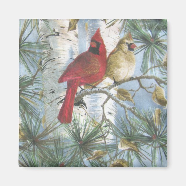 CARDINALS-MAGNET MAGNET (Front)