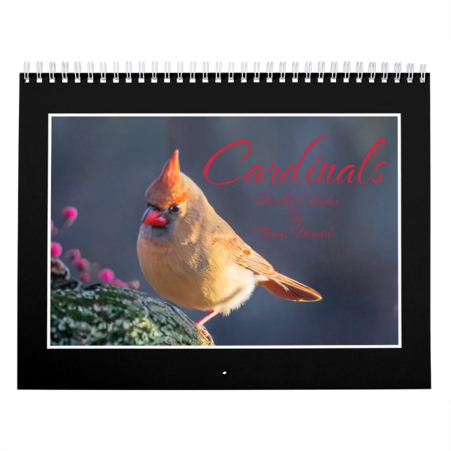 Cardinals Monthly Calendar (Cover)