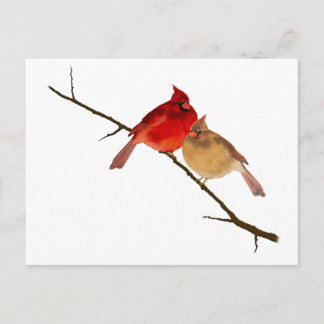 cardinals on a branch postcard