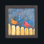 Cardinals on the Fence Painting - Original Art Gift Box<br><div class="desc">Cardinals on the Fence portrait, original painting. We specialise in cute and funny original art. Buy this for yourself or as a great gift for your Cardinals loving friends. Be creative - click on CUSTOMIZE to add/remove/change text, resize the picture, change colours or anything else the customisation tool will allow!...</div>