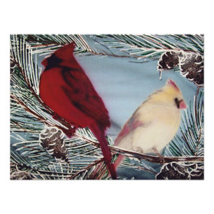 Cardinals Perched Photo Print