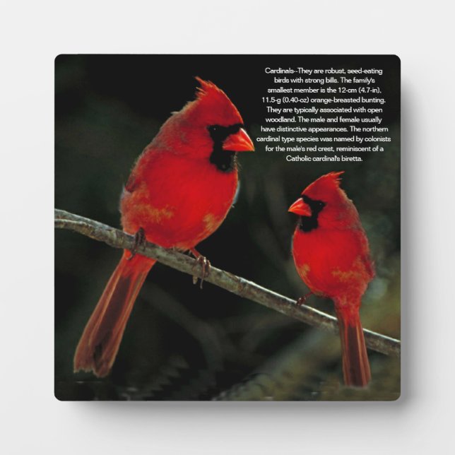 CARDINALS PLAQUE (Front)