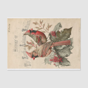 Cardinals Tissue Paper