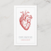 Cardiologist Doctor Anatomical Heart Illustration