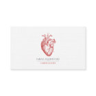 Cardiologist Doctor Anatomical Heart Illustration