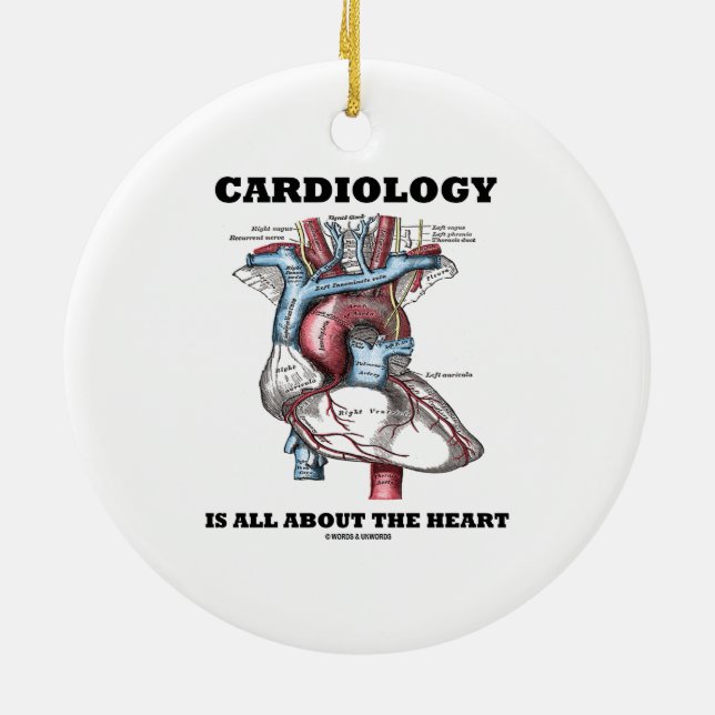 Cardiology Is All About The Heart (Anatomical) Ceramic Tree Decoration (Back)