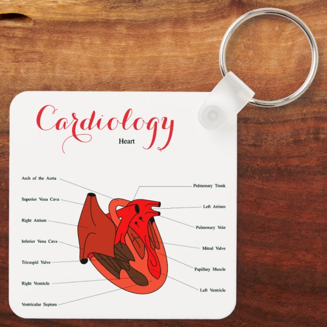 "Cardiology Key Ring" Ring (Back)