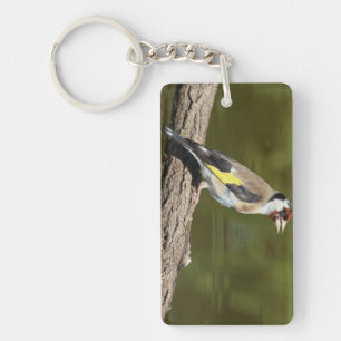 Carduelis carduelis key ring