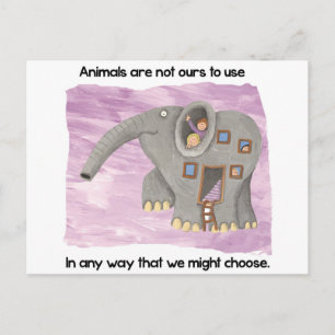 Care about animals! postcard