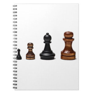 Career Path Notebook