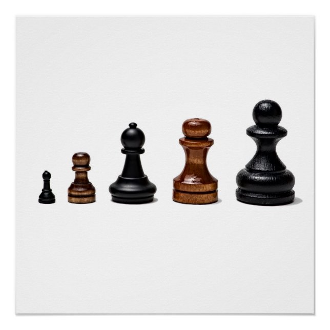 Career Path Poster (Front)