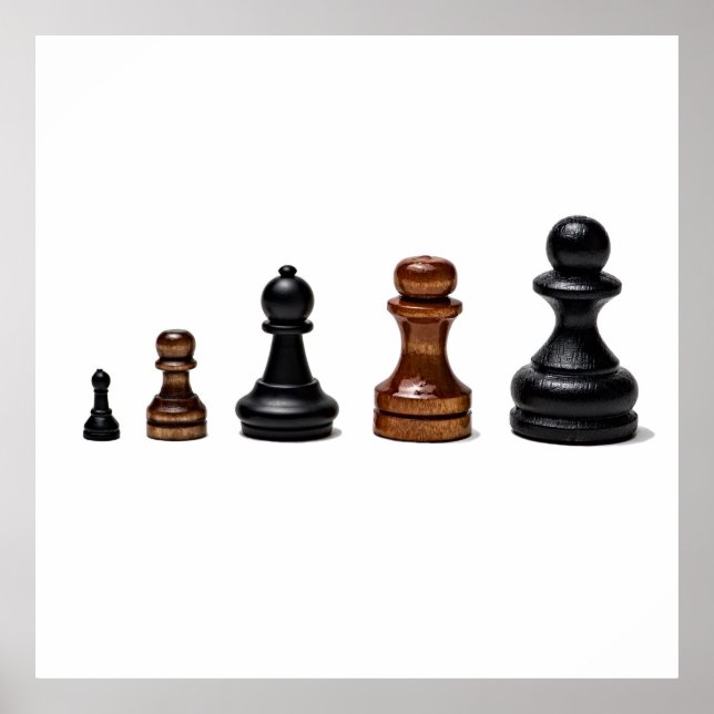 Career Path Poster (Front)