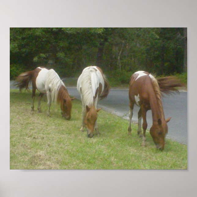 Carefree Ponies Poster (Front)