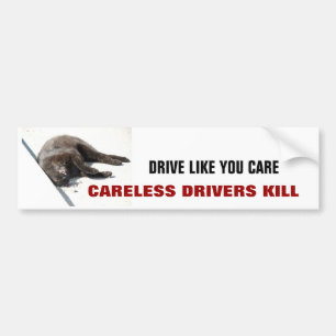 CARELESS DRIVERS KILL BUMPER STICKER