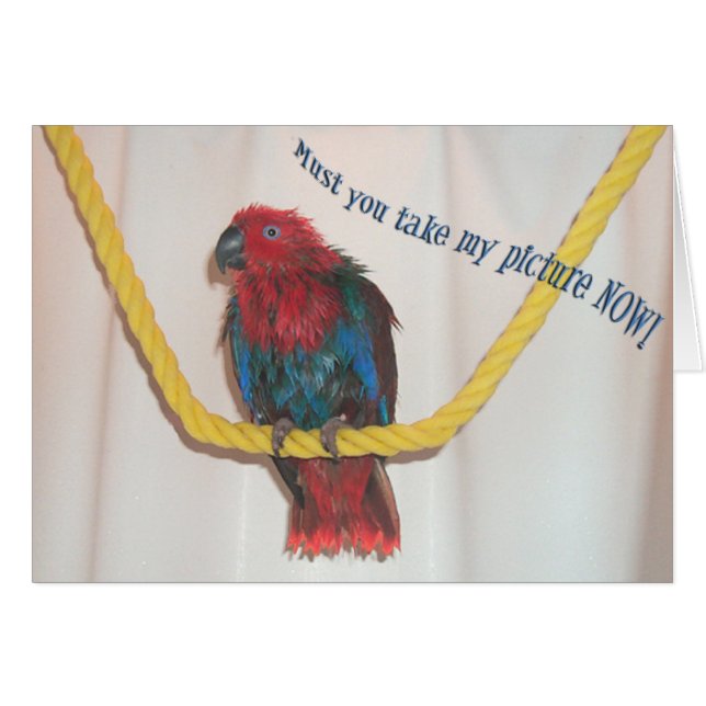 Caretakers (Front Horizontal)