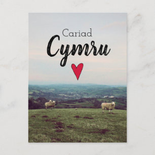 Cariad Cymru Vintage Wales Landscape Farm Sheep Postcard