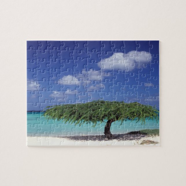Caribbean, Aruba. Eagle Beach Jigsaw Puzzle (Horizontal)