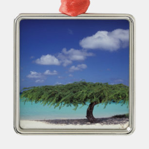 Caribbean, Aruba. Eagle Beach Metal Tree Decoration