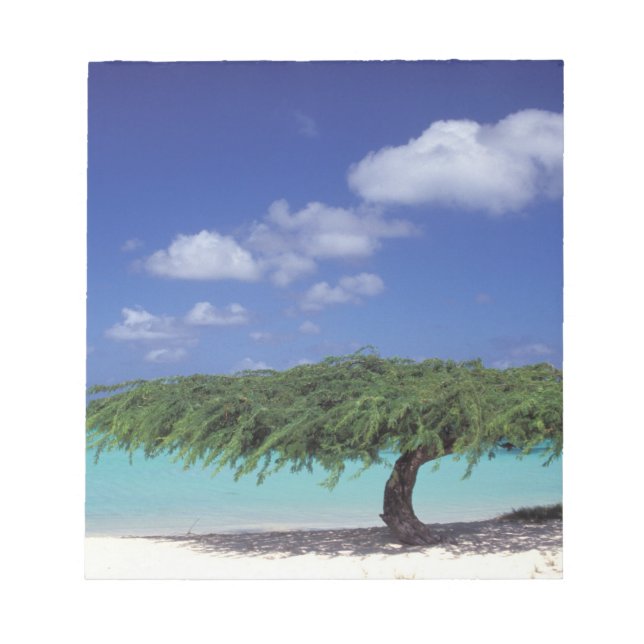 Caribbean, Aruba. Eagle Beach Notepad (Front)