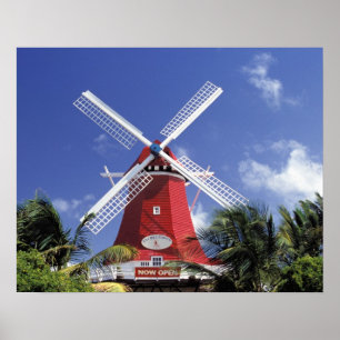 Caribbean, Aruba. Old Mill, converted into 'Mill Poster