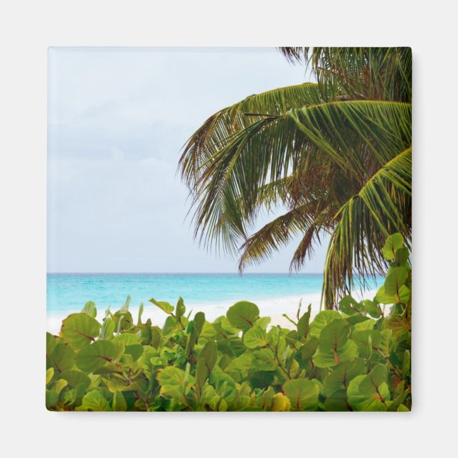 CARIBBEAN BEACH - BARBADOS MAGNET (Front)