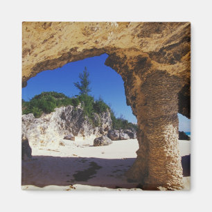Caribbean, Bermuda, Tucker's Town. Natural Magnet