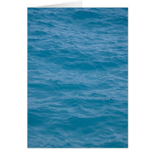 Caribbean Blue Water