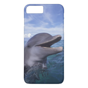 Caribbean, Bottlenose Case-Mate iPhone Case