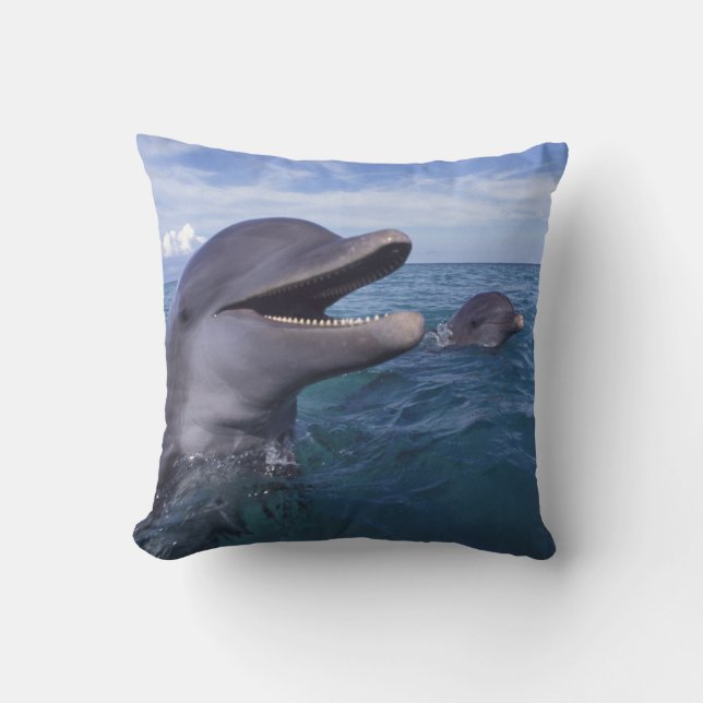 Caribbean, Bottlenose Cushion (Front)