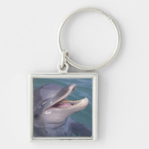 Caribbean, Bottlenose dolphin Key Ring