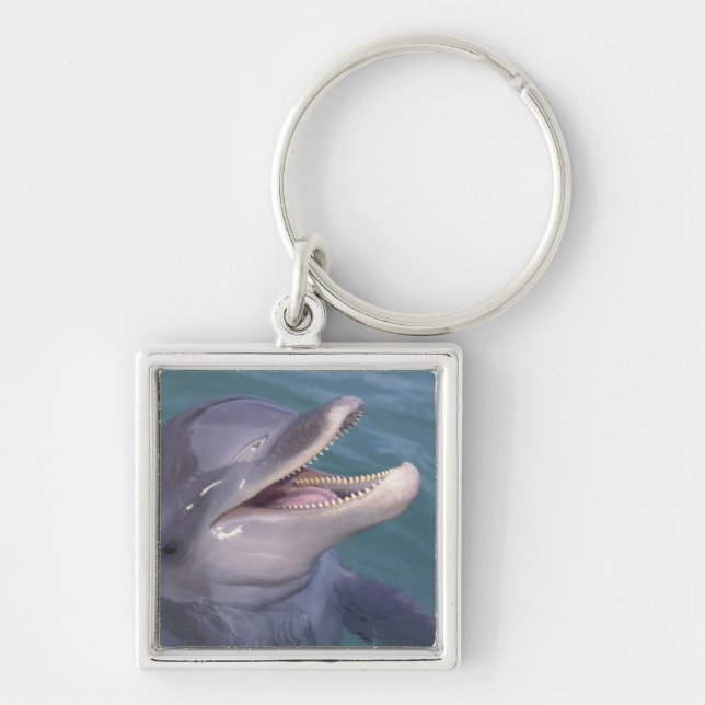 Caribbean, Bottlenose dolphin Key Ring (Front)